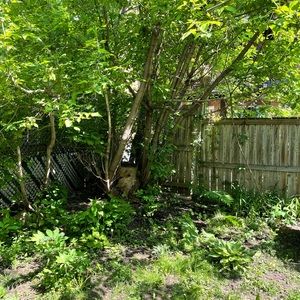 Meet your Posher, Anne-josée